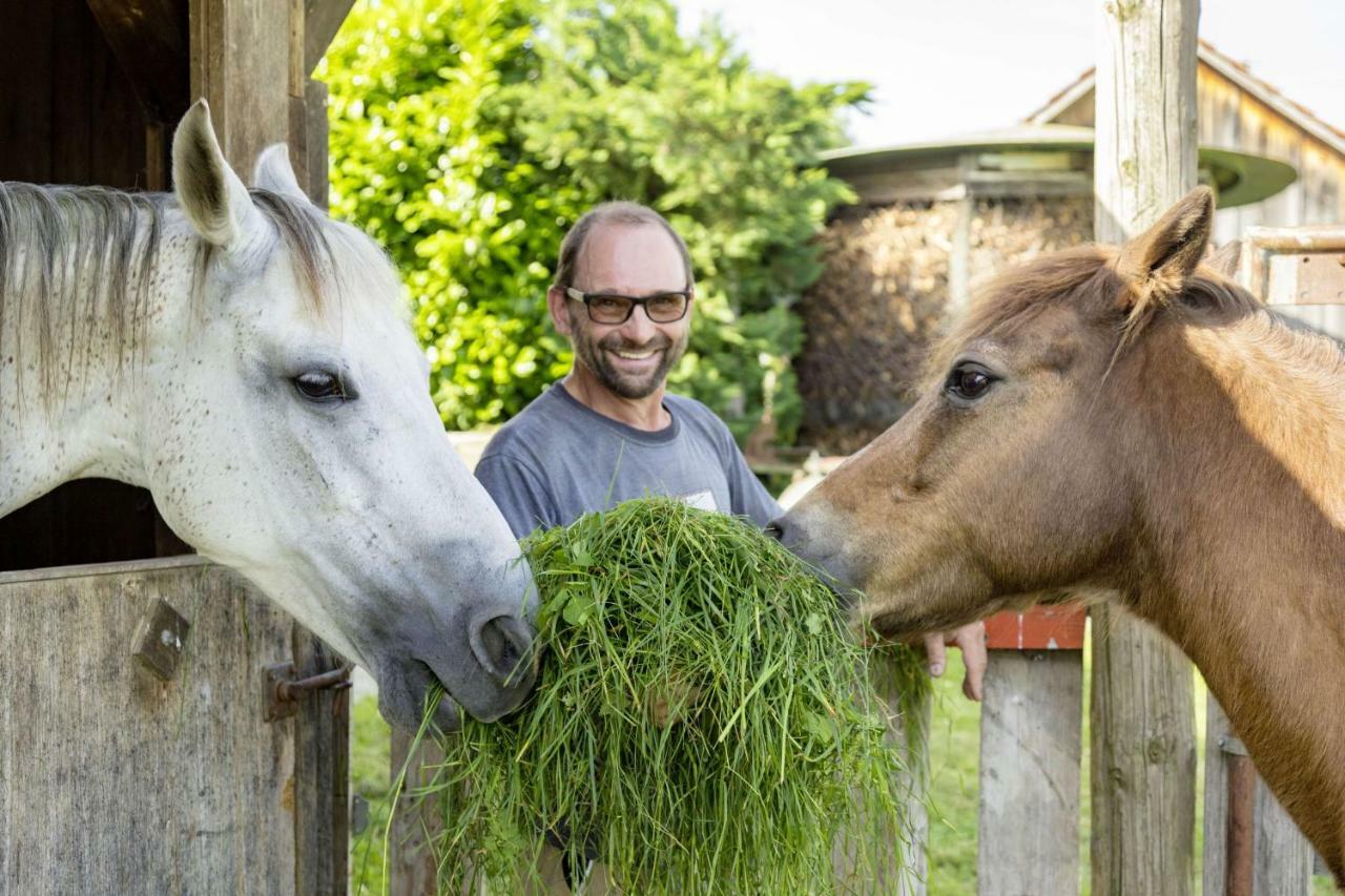 Appartamento Berger Hof Kressbronn am Bodensee Esterno foto